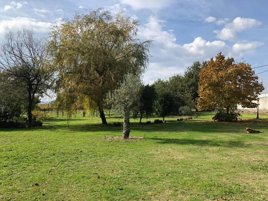 אמרנטה Maison Avec Piscine : Quinta Do Sol מראה חיצוני תמונה